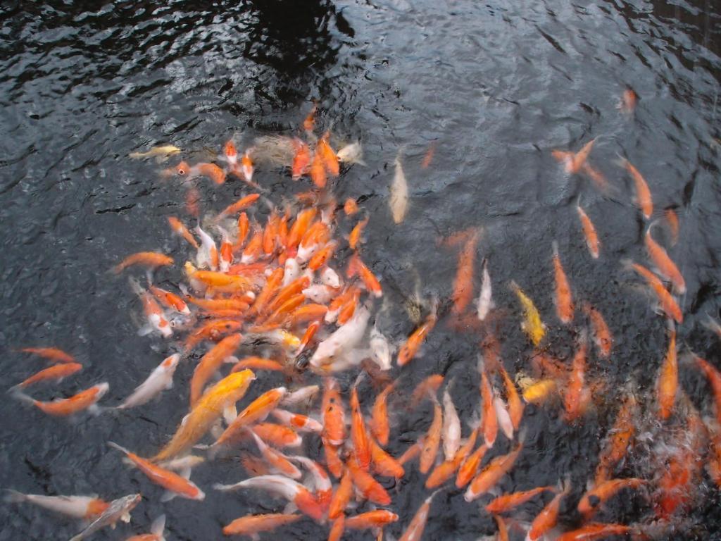 Spring Fountain Hotel Jiaoxi Luaran gambar